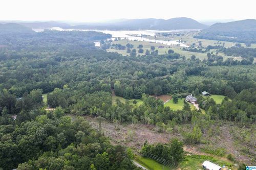 366-ac-0 Cochran Springs Rd, OHATCHEE, AL, 36271 | Card Image