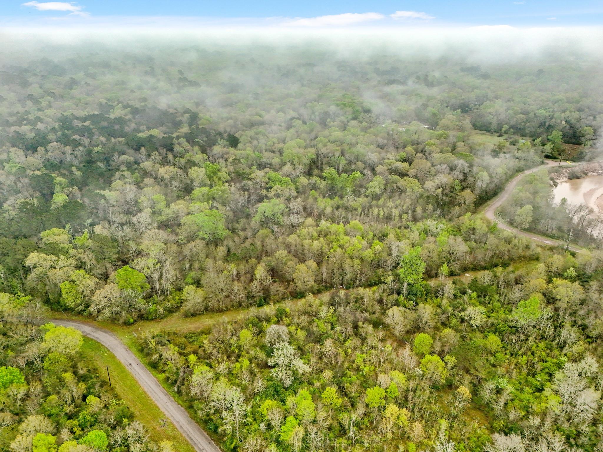 Land in Conroe 5