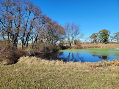 Pond in November | Image 2