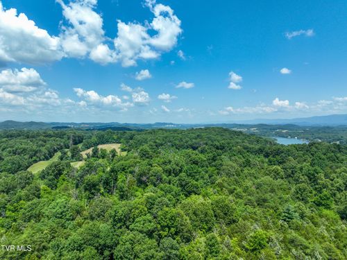 133 Devault Bridge Rd, Piney Flats, TN, 37686 | Card Image