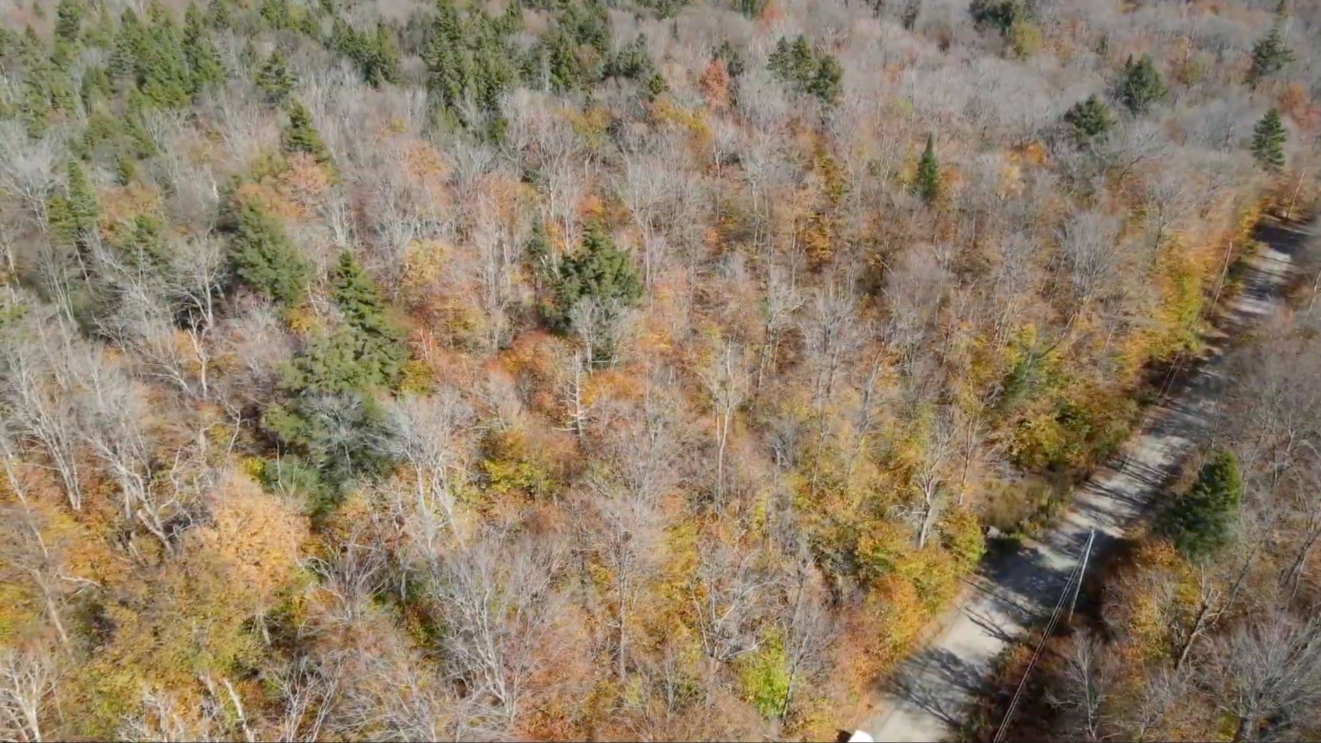 Land in Wentworth 2