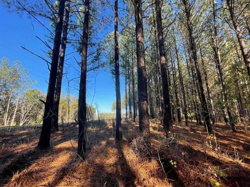 138 Center Ridge Dr, Linden, TN, 37096-2049 | Card Image