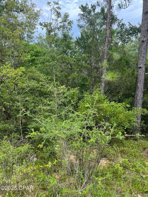 00 Aster Cir, Marianna, FL, 32448 | Card Image