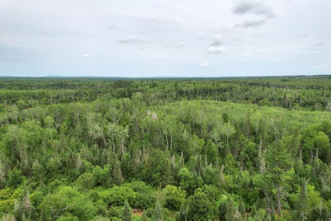16499 Hwy 45, Home with 0 bedrooms, 0 bathrooms and null parking in Bruce Crossing MI | Image 34