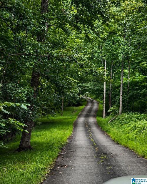 18818-18818 Us Highway 411, Springville, AL, 35146-5571 | Card Image