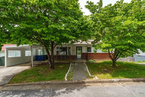 705 Holston Ave, Elizabethton, TN, 37643-3538 | Card Image