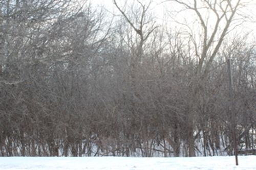 930 Fairfield Rd, Round Lake Beach, IL, 60073-2304 | Card Image