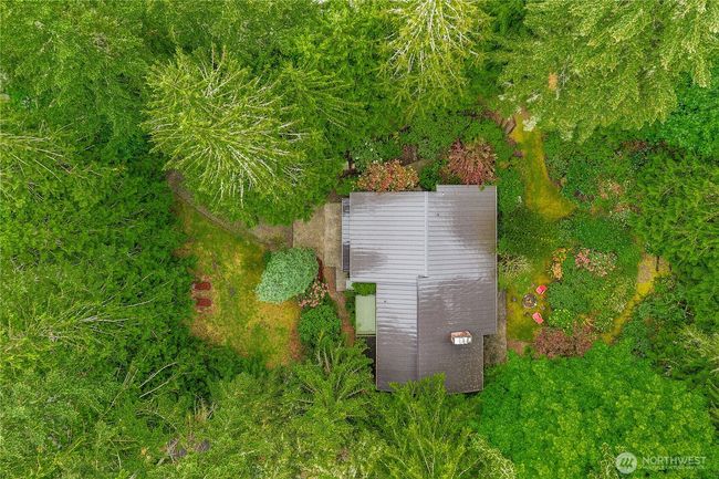 Midcentury Modern nestled within a serene woodland! | Image 38