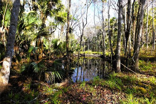 4721 Lingo Grove Rd, EDGEWATER, FL, 32141-7431 | Card Image