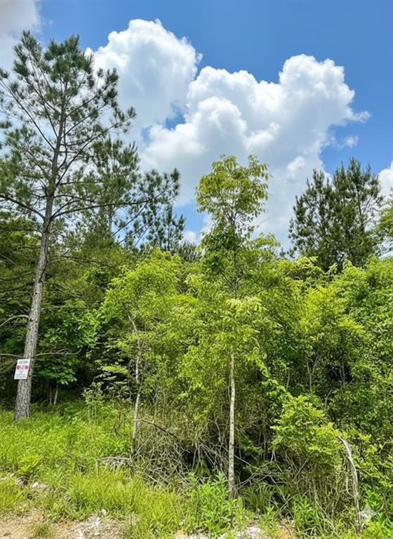 Land in Broken Bow 3