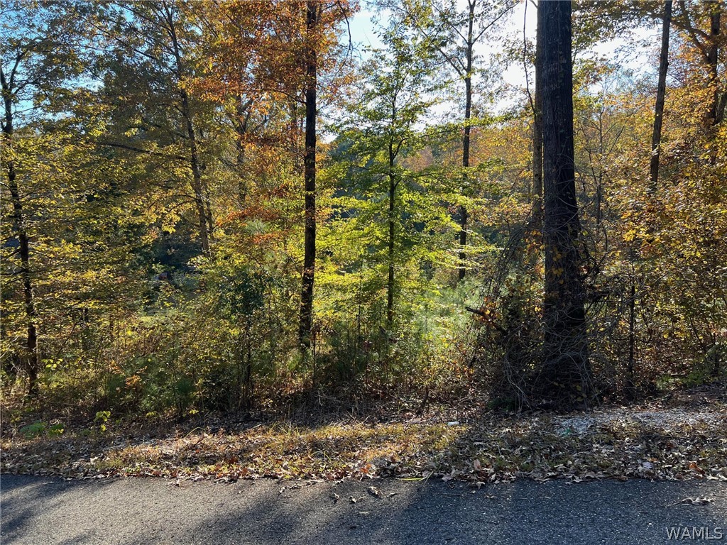 Land in McCalla 2
