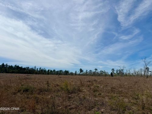 23 acres Davenport Rd, Marianna, FL, 32448 | Card Image