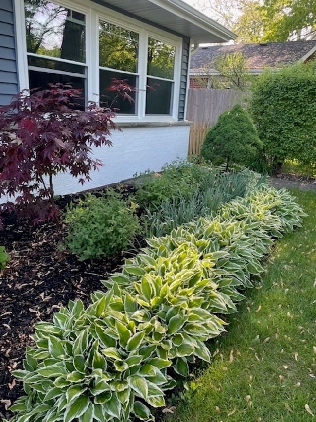 315 Glenview Rd, House other with 3 bedrooms, 2 bathrooms and 4 parking in Glenview IL | Image 4