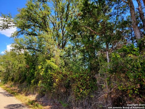 TBD Dale Ln Lane, Dale, TX, 78616 | Card Image