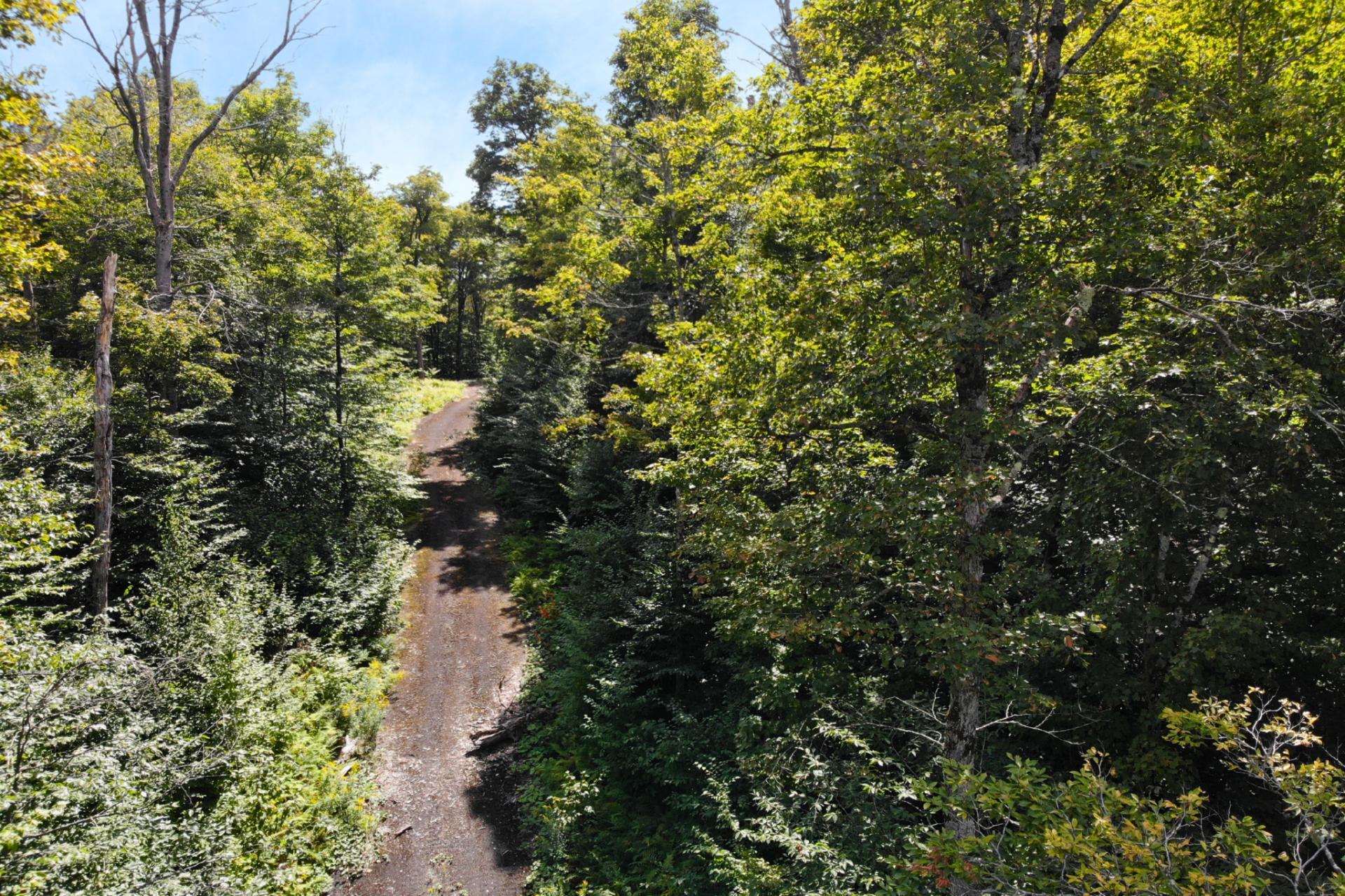 Land in Morin-Heights 5