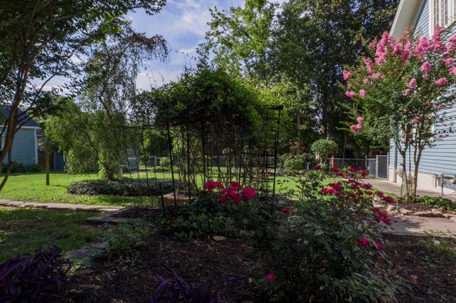 Back Yard View 2 | Image 27