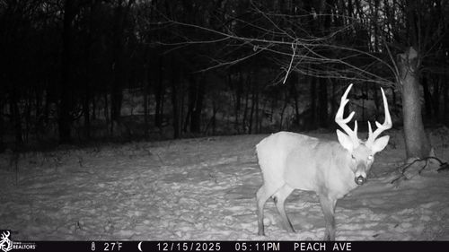 21542 Peach Ave, Bloomfield, IA, 52537 | Card Image