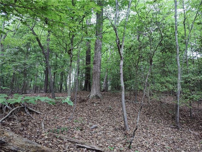 0 Old Church St, Home with 0 bedrooms, 0 bathrooms and null parking in Claremont VA | Image 34