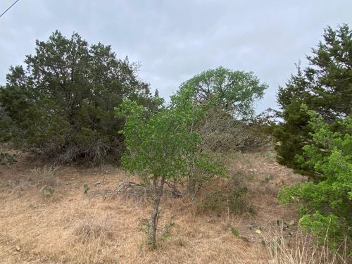Lot 22 Cr 140, Burnet, TX, 78611 | Card Image