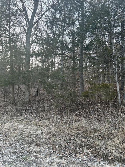121 Briarwood Ter, De Soto, MO, 63020-6808 | Card Image