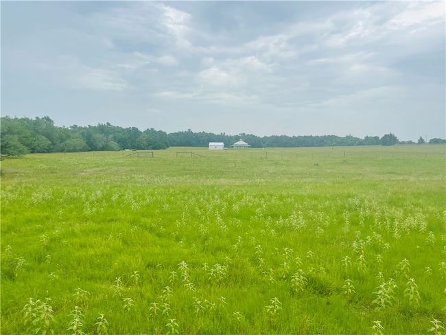 8409 S Hickory Loop, Home with 0 bedrooms, 0 bathrooms and null parking in Calvert TX | Image 20