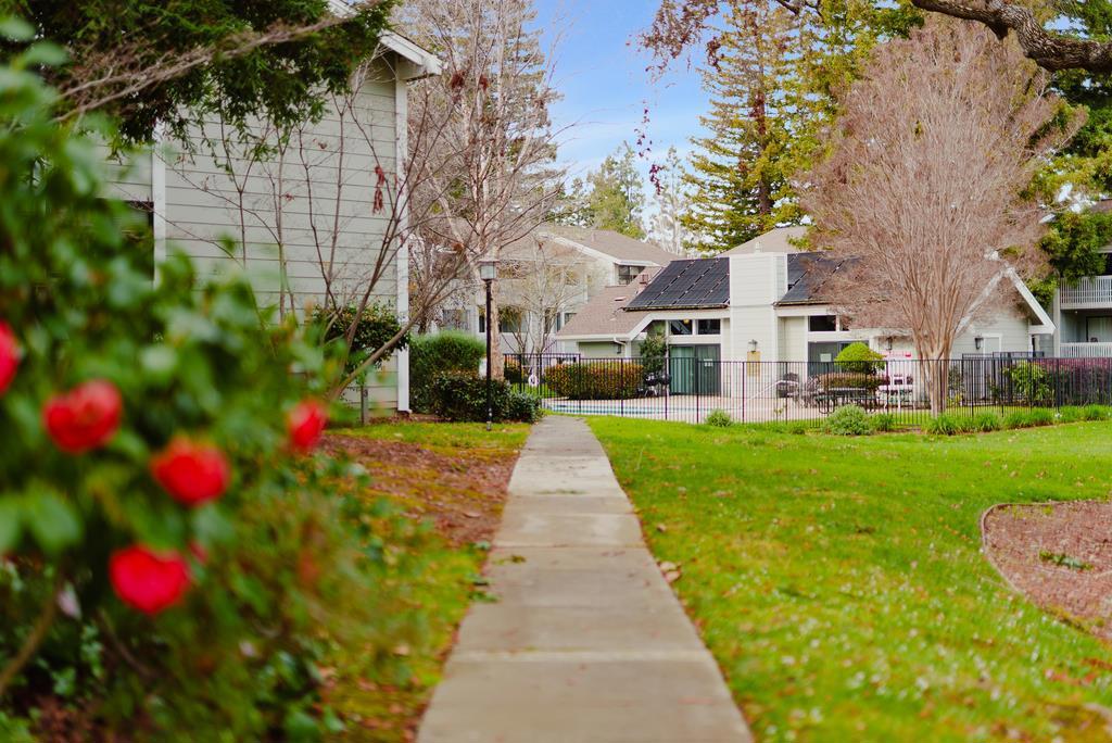 Residential in Mountain View 3