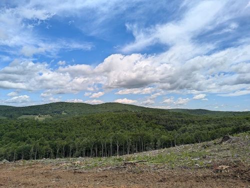 TBD Parkway Church Rd Sw, Meadows of Dan, VA, 24120 | Card Image