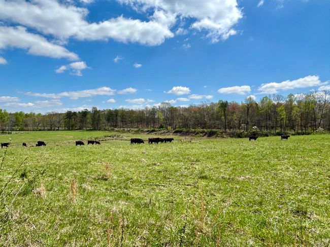 428 Dick Wilson Rd, Home with 0 bedrooms, 0 bathrooms and null parking in Strunk KY | Image 11