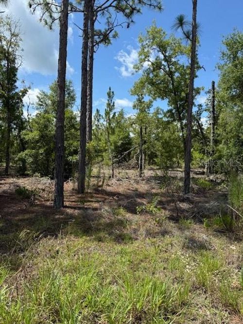 115 S Dakota St, Hawthorne, FL, 32640-5220 | Card Image