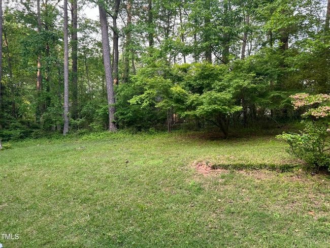 Back Yard | Image 27