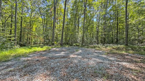 286 Cliffton Cemetery Rd, Spring City, TN, 37381 | Card Image