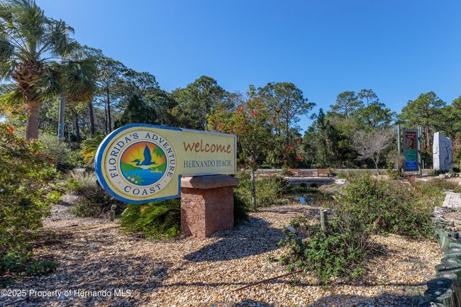 Welcome to Hernando Beach | Image 15
