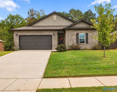 117 High Leaf Dr, Harvest, AL, 35749-4915 | Card Image