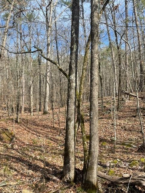 Land in Broken Bow 5