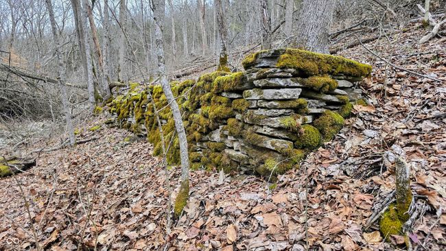 5900 S County Road 700 E, Home with 0 bedrooms, 0 bathrooms and null parking in Dillsboro IN | Image 26