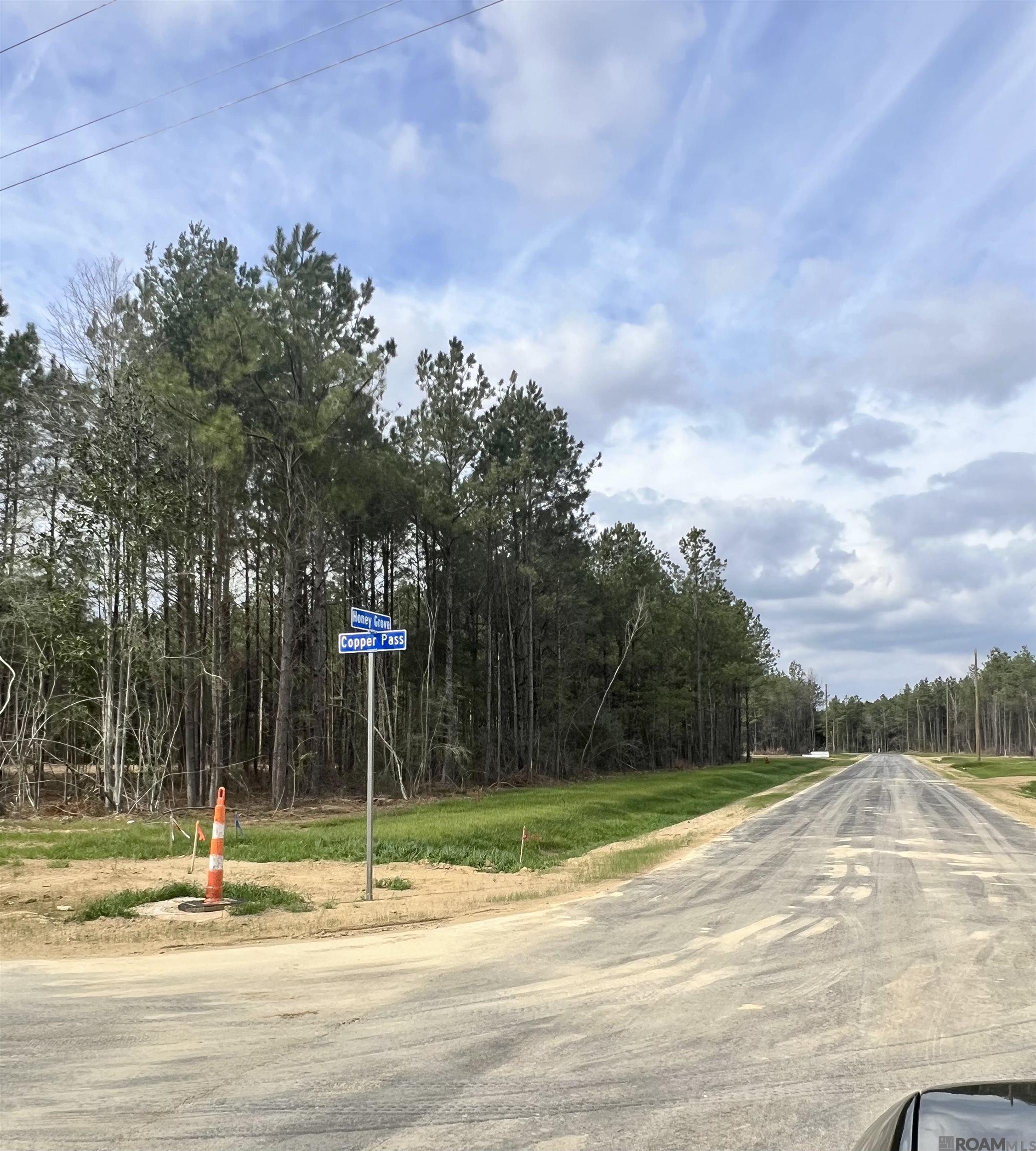 Land in Livingston 4