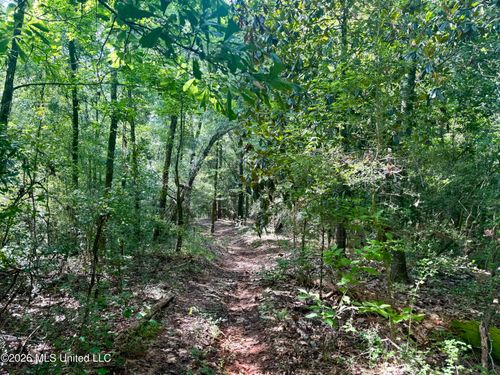 204 Mississippi 35, Raleigh, MS, 39153 | Card Image