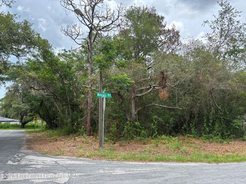 Lot W290 Navajo Trl, SPRING HILL, FL, 34606 | Card Image