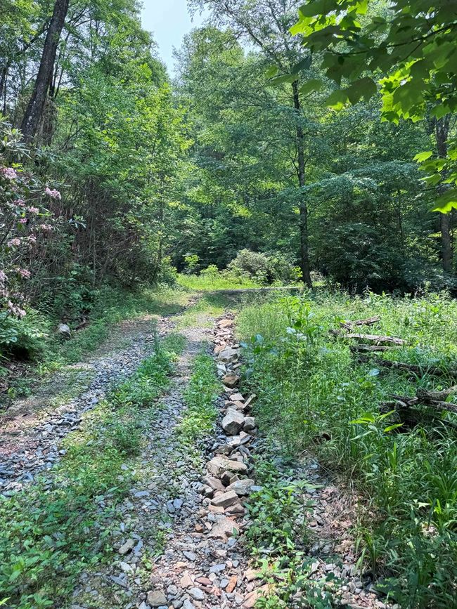 88 acres Bolden Branch Rd, Home with 0 bedrooms, 0 bathrooms and null parking in Andrews NC | Image 4