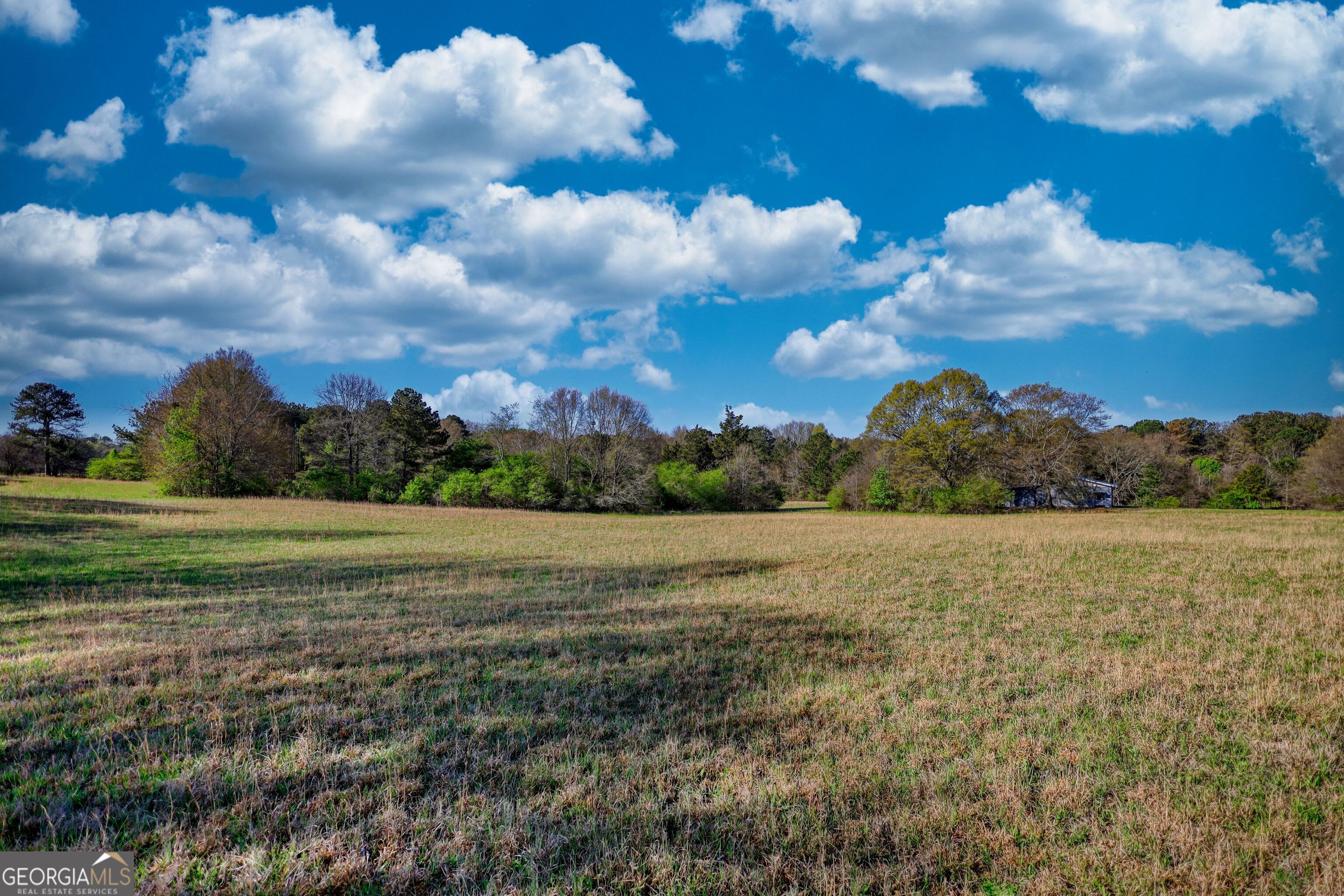 Land in Dacula 4