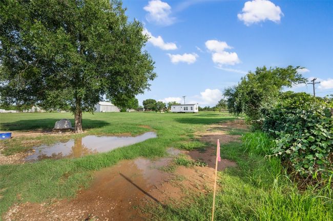 View of green lawn | Image 10