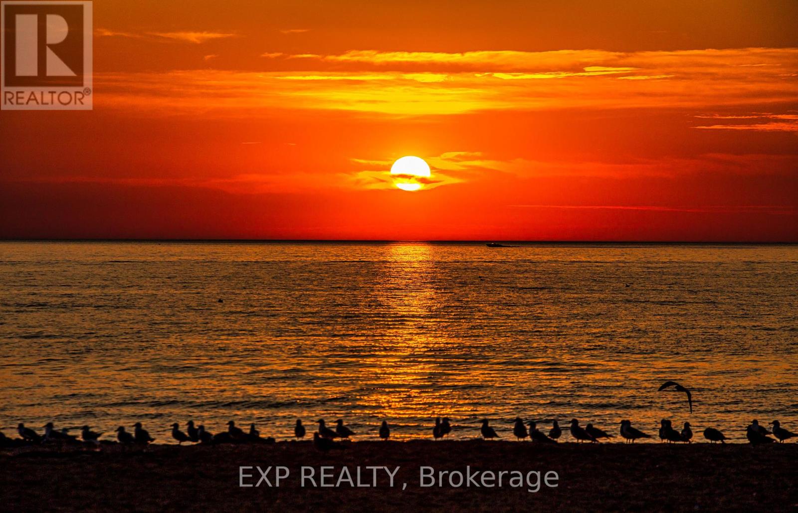 Residential in Wasaga Beach 2