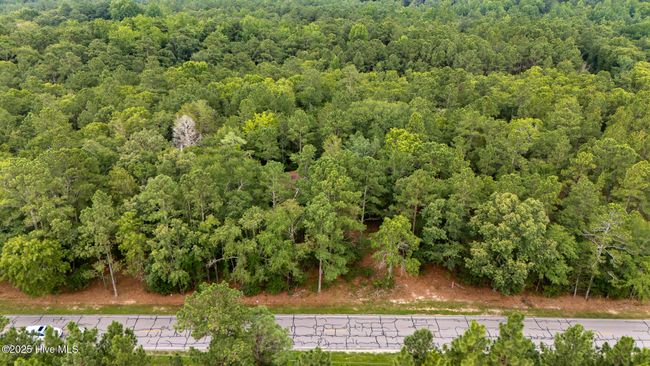 2 - 2099 Carthage Rd, Home with 0 bedrooms, 0 bathrooms and null parking in West End NC | Image 33