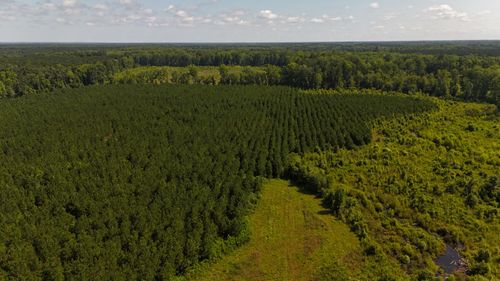 0 Palmetto Sands Rd, Branchville, SC, 29432 | Card Image