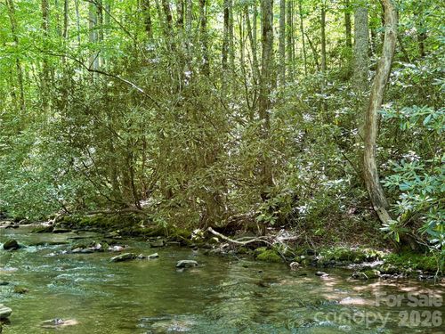 11-0 Timber Estates Rd, Bryson City, NC, 28713 | Card Image