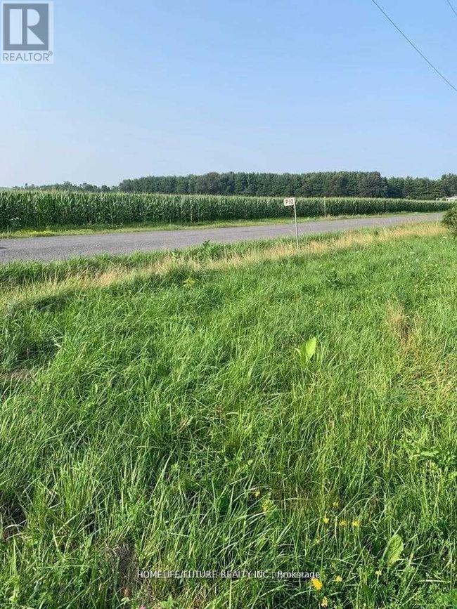 0 Sherman's Point Rd, Home with 0 bedrooms, 0 bathrooms and null parking in Napanee ON | Image 4