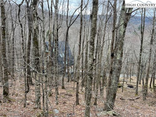 115 Pond Creek Road, Beech Mountain, NC, 28604 | Card Image