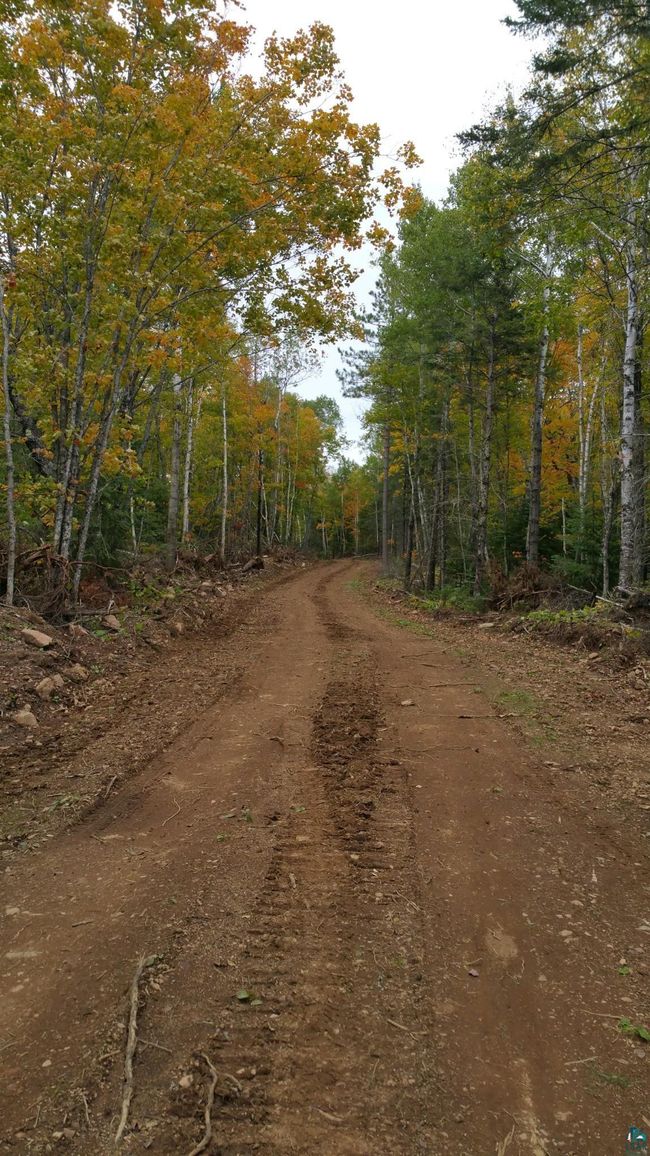5241 Hut Two Rd, House other with 1 bedrooms, 0 bathrooms and null parking in Finland MN | Image 10