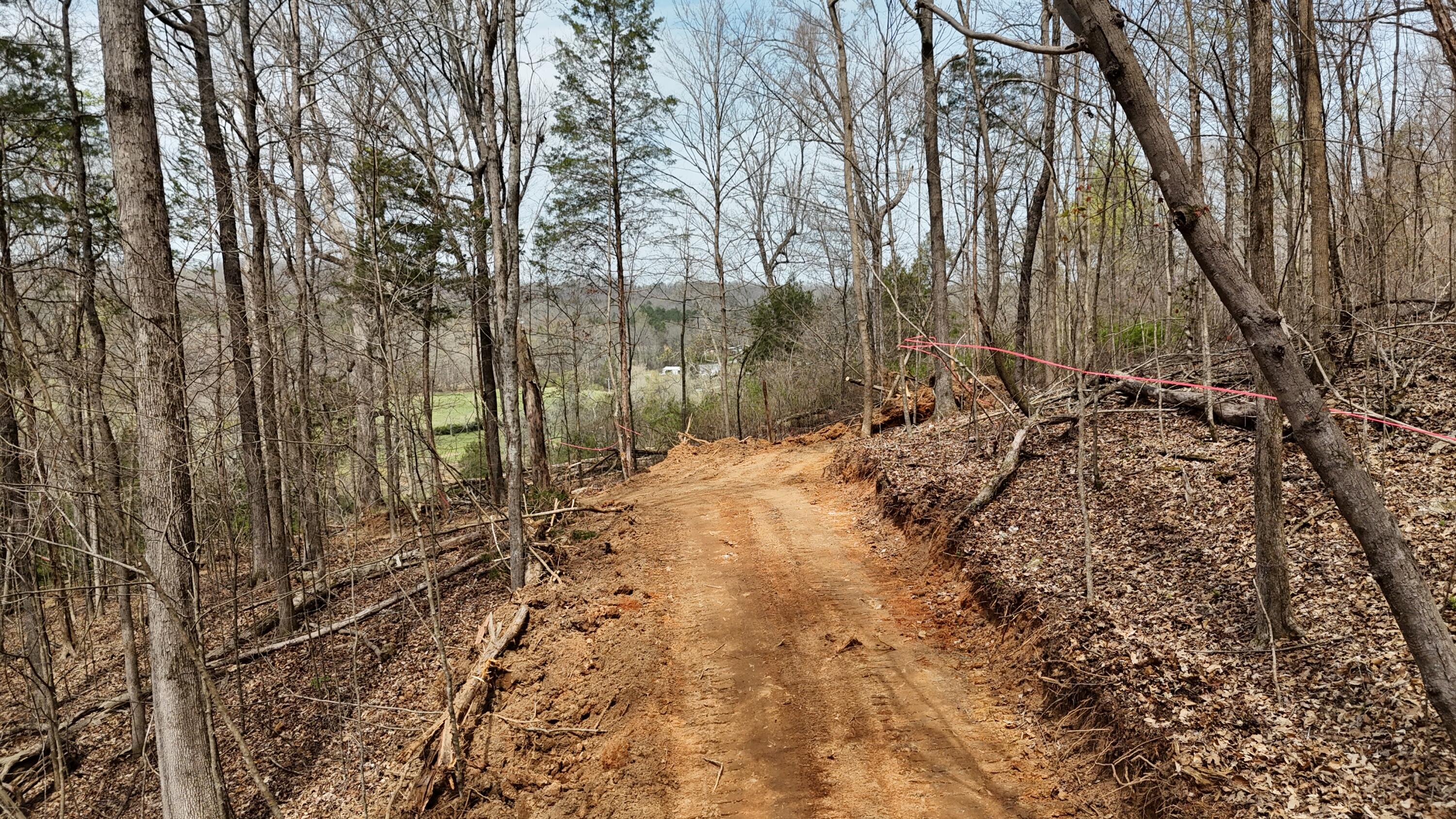 Land in Decatur 4