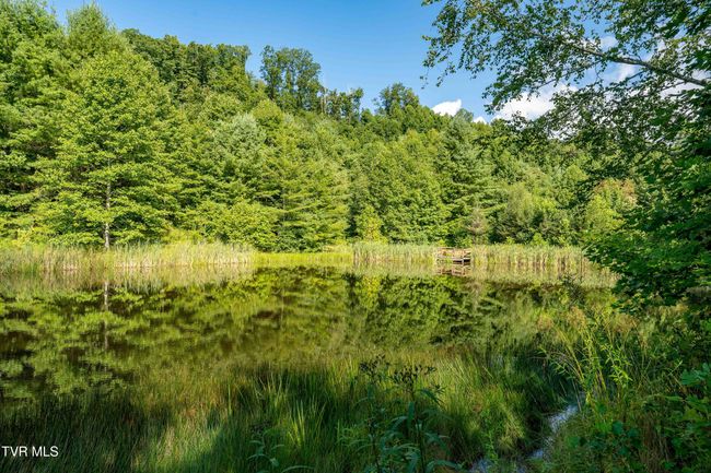 306 Bear Branch Rd, Home with 0 bedrooms, 0 bathrooms and null parking in Roan Mountain TN | Image 54